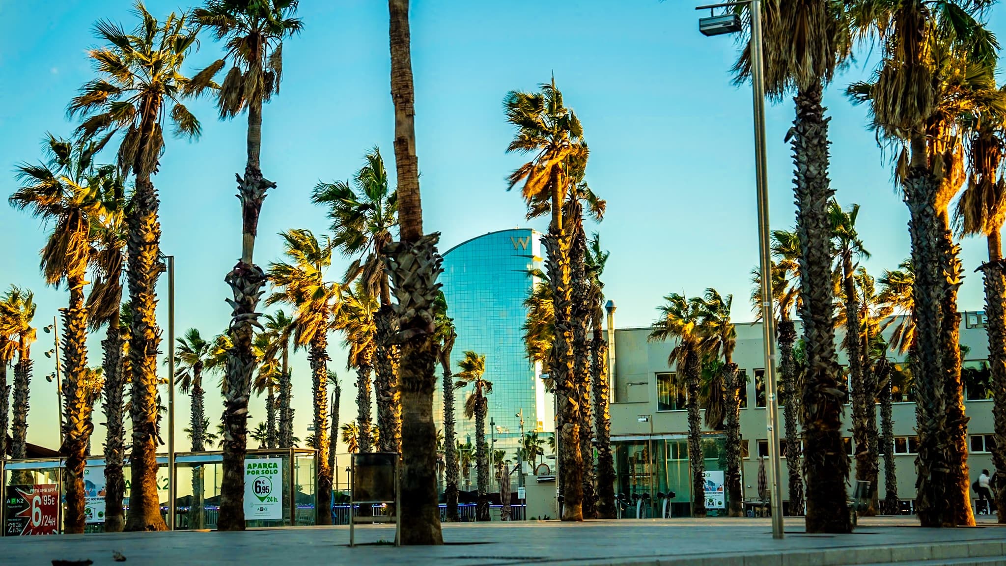 beach-barceloneta - 2